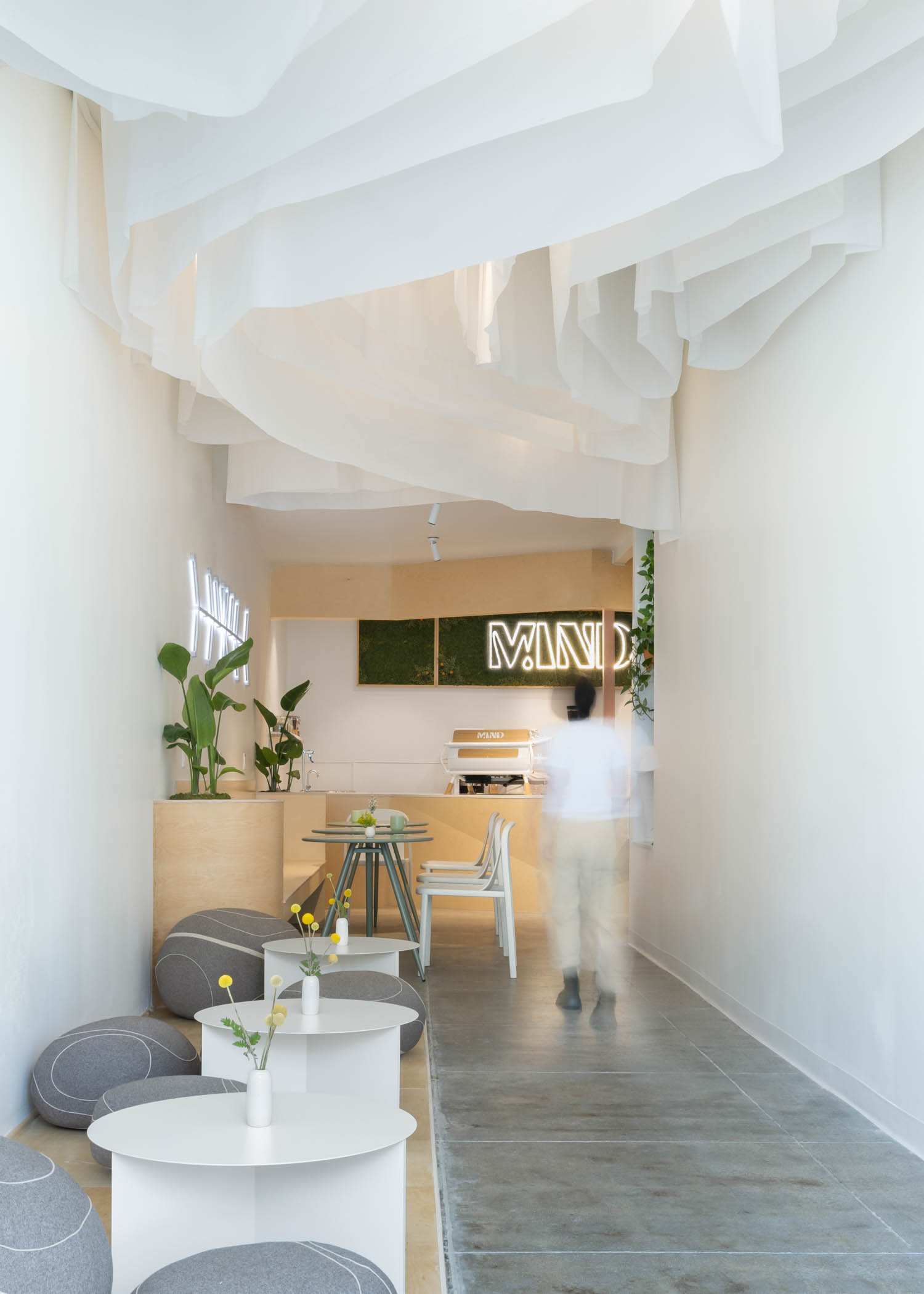 ceiling Best Berkeley Cafe CA / Mind Coffee / Mahyasalehistudio