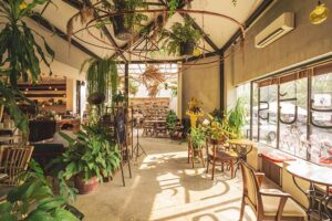 Greenery Cafes