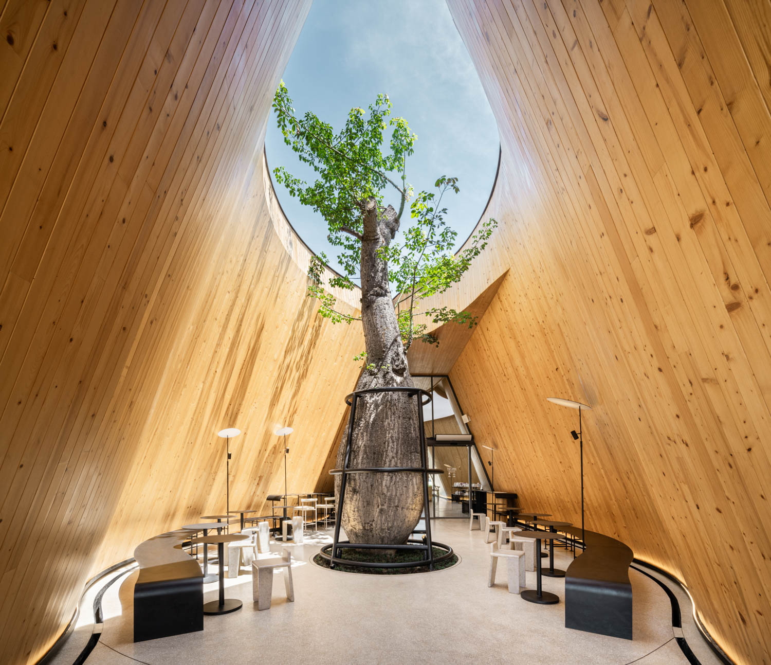 tree looking to sky Harudot By Nana Coffee Roasters / IDIN Architects Chonburi, Thailand