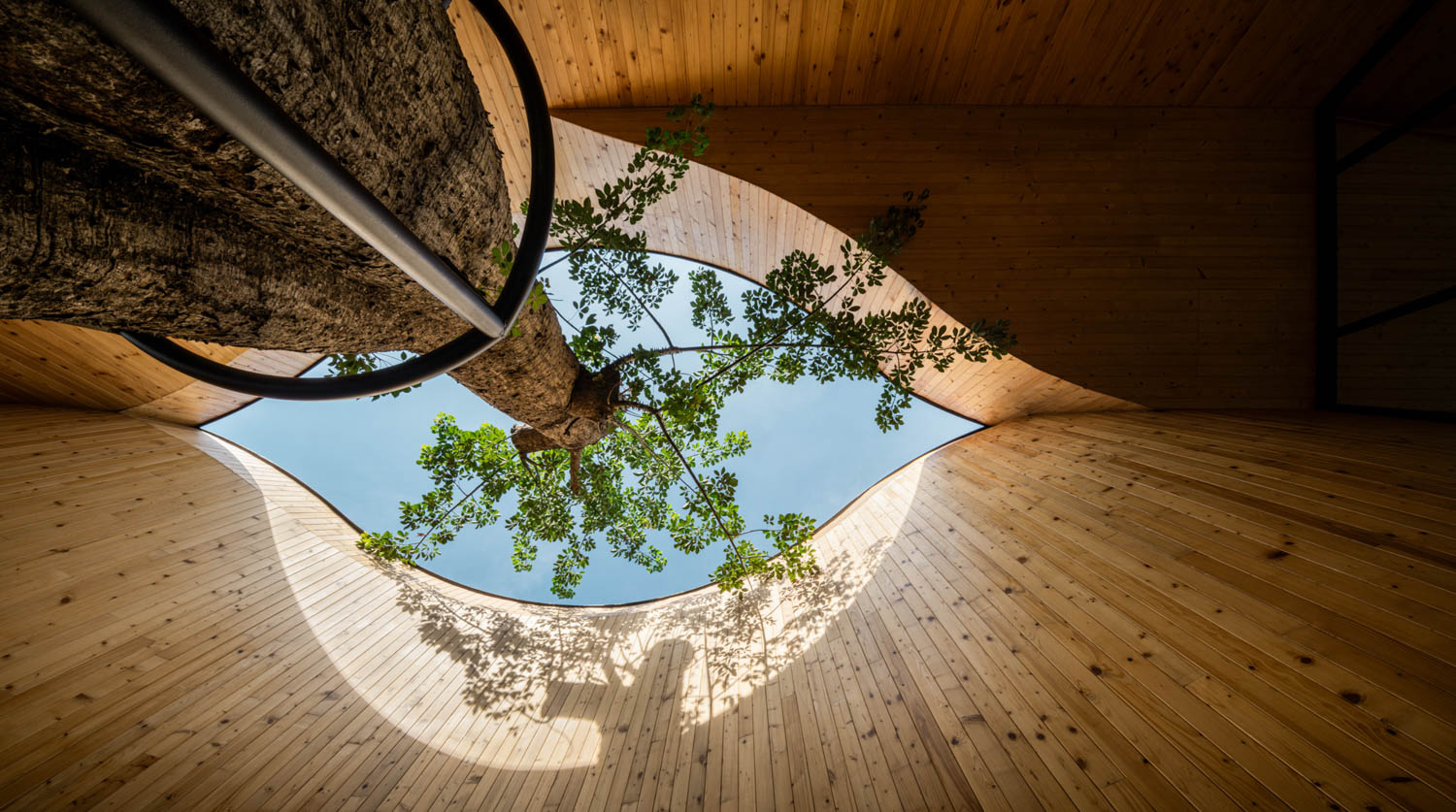 looking up Harudot By Nana Coffee Roasters / IDIN Architects Chonburi, Thailand