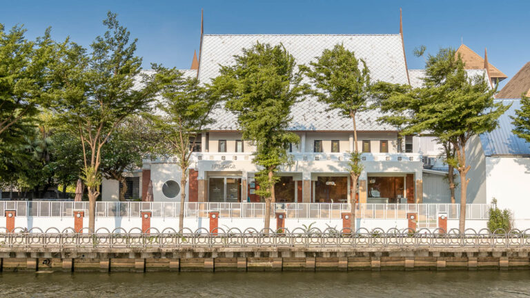 121 Cat Cafe Bangkok Thailand Petrichor Cafe AAA Architecture 04 768x432