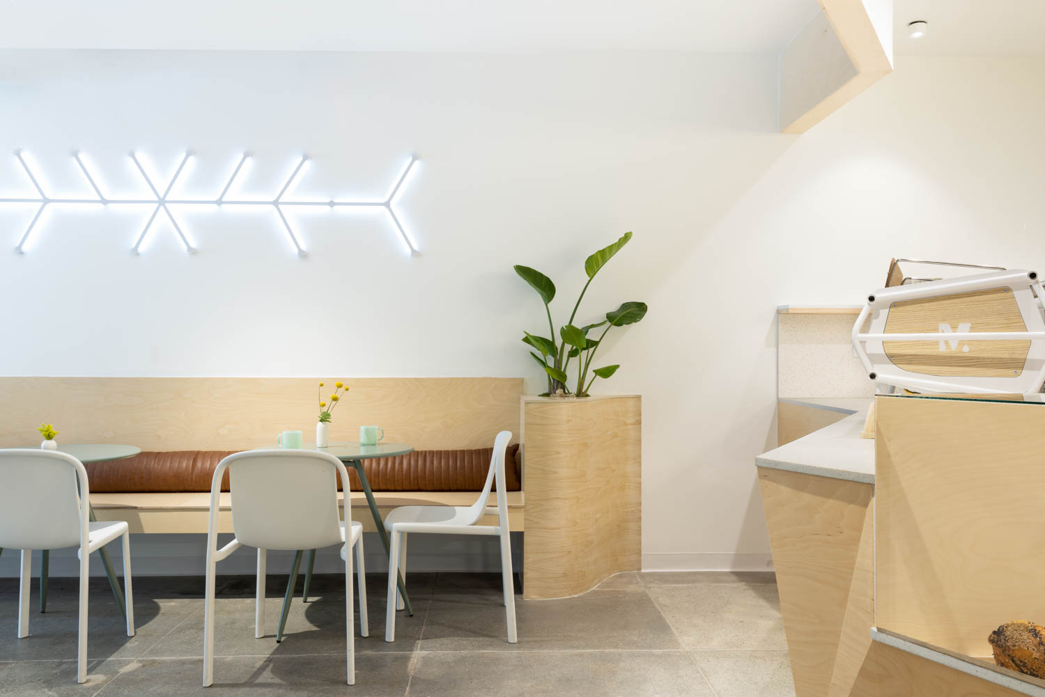 129 Best Berkeley Cafe CA Mind Coffee Mahyasalehistudio 02