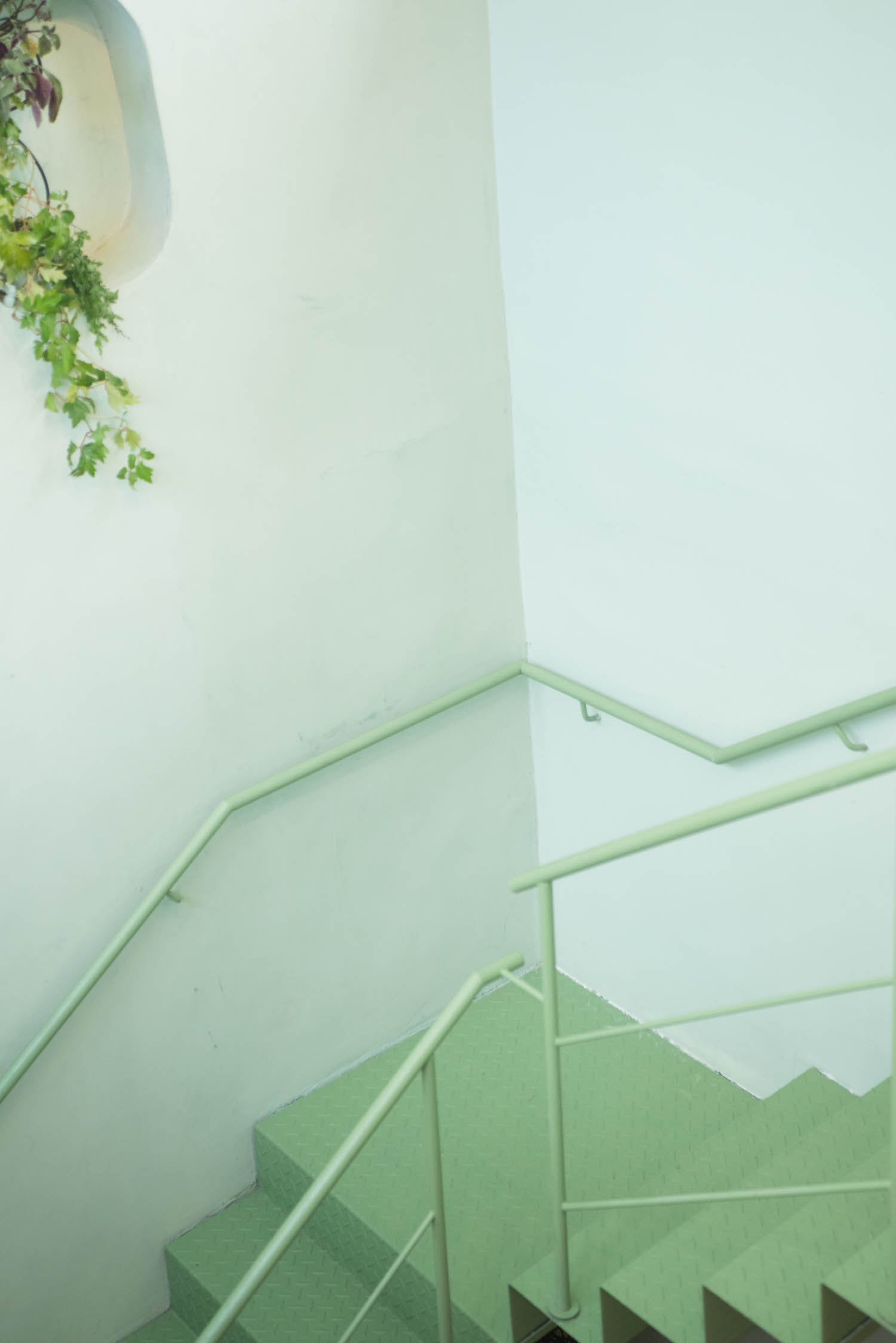 138 Best Coffee Buenos Aires Verdin Specialty Coffee Shop OHIO Estudio 02