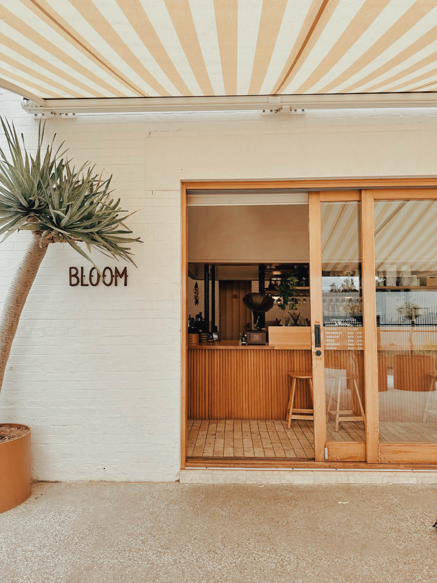 202 Bloom Thebarton SA 12