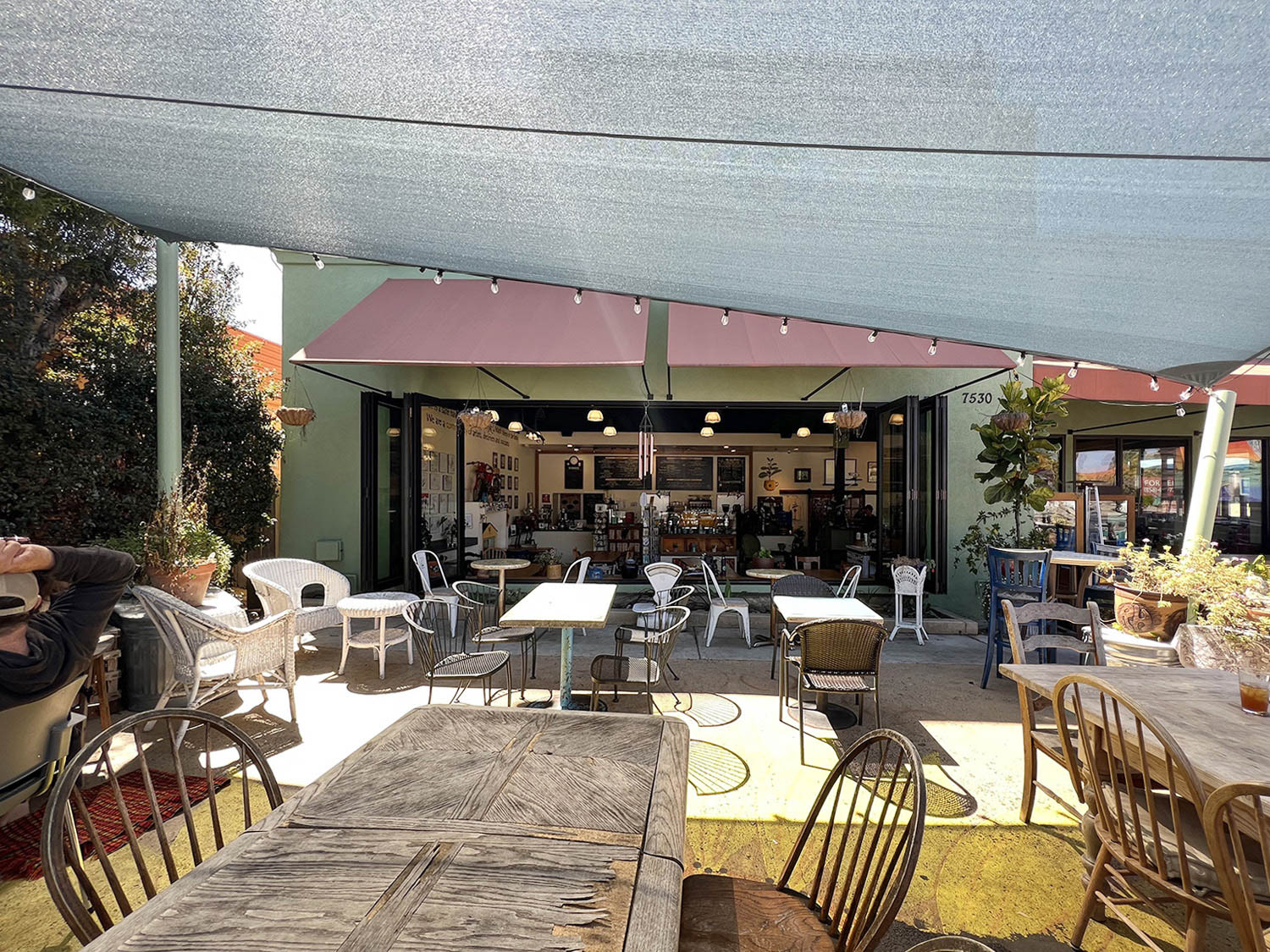 210 Flower Pot Berkeley 02