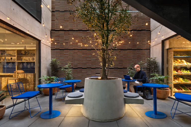 238 Mora Mora Colima Mexico City Alfille Arquitectos 01 768x512