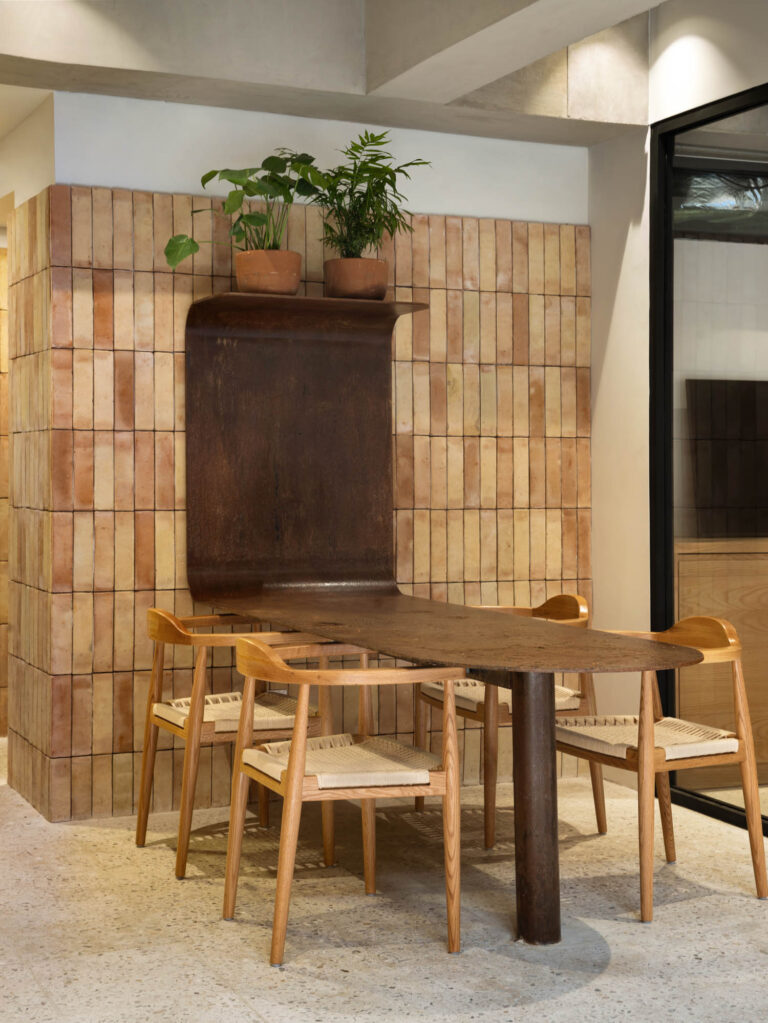 238 Mora Mora Colima Mexico City Alfille Arquitectos 03 768x1023