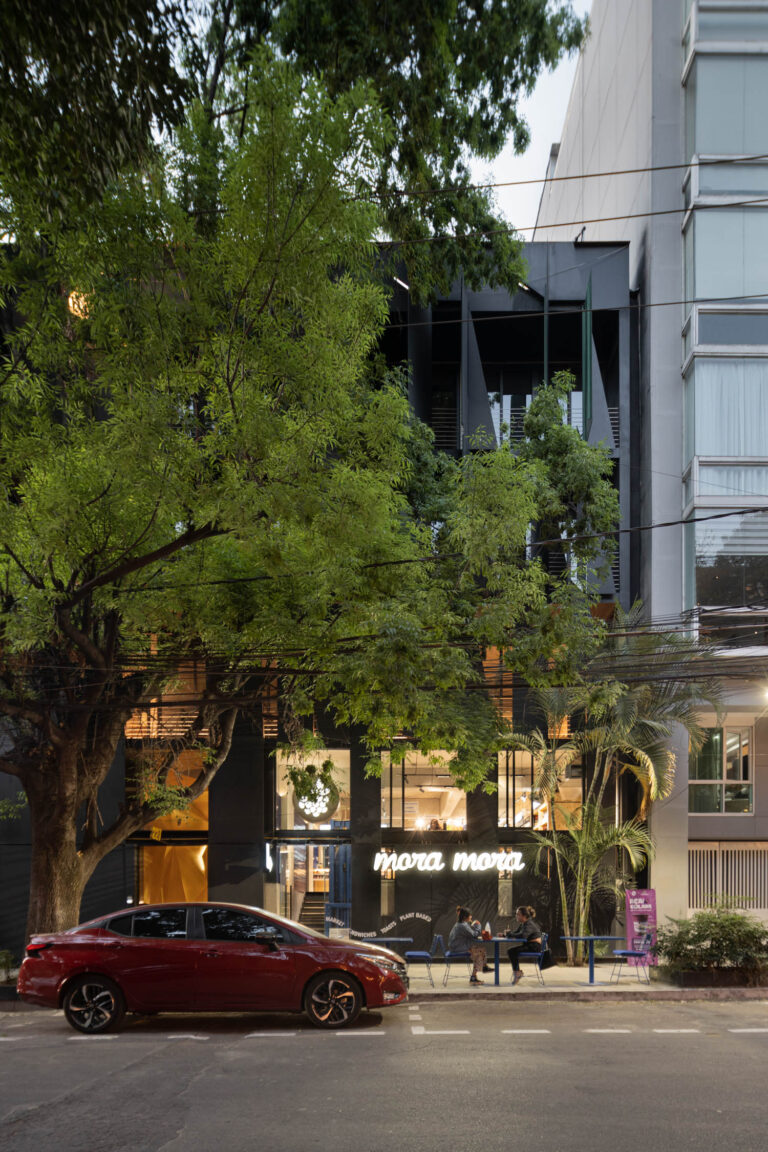 238 Mora Mora Colima Mexico City Alfille Arquitectos 10 768x1152