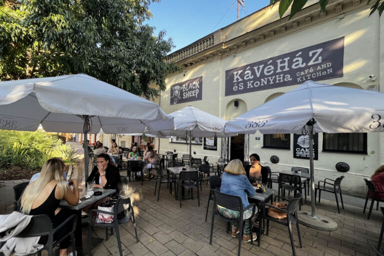 30 debrecen black sheep 03 768x512