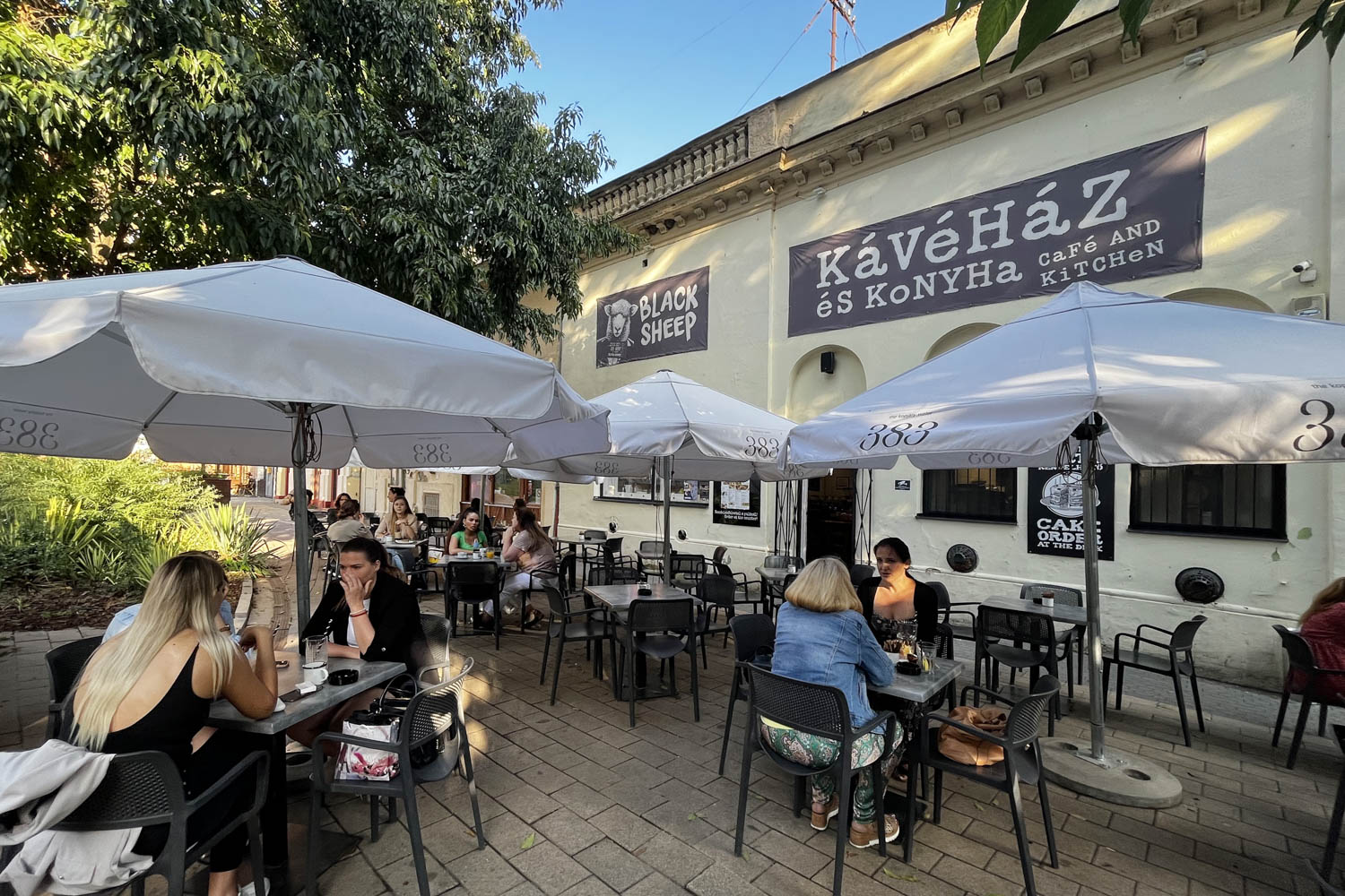 30 debrecen black sheep 03