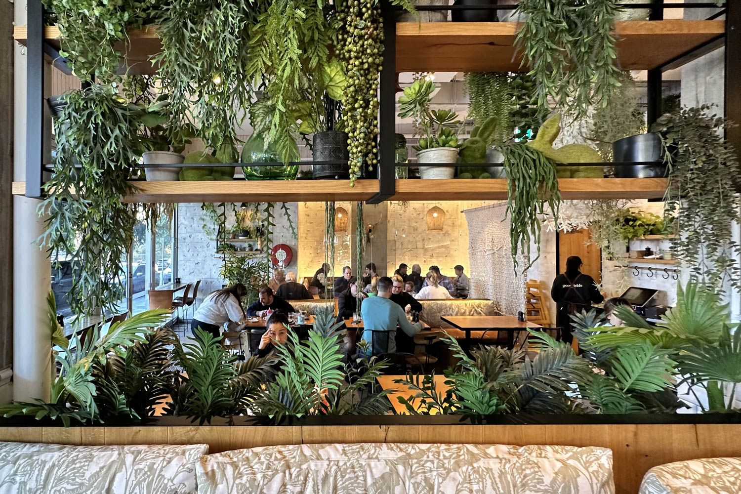 64 Lindfield Cafe Goodfields Eatery 04