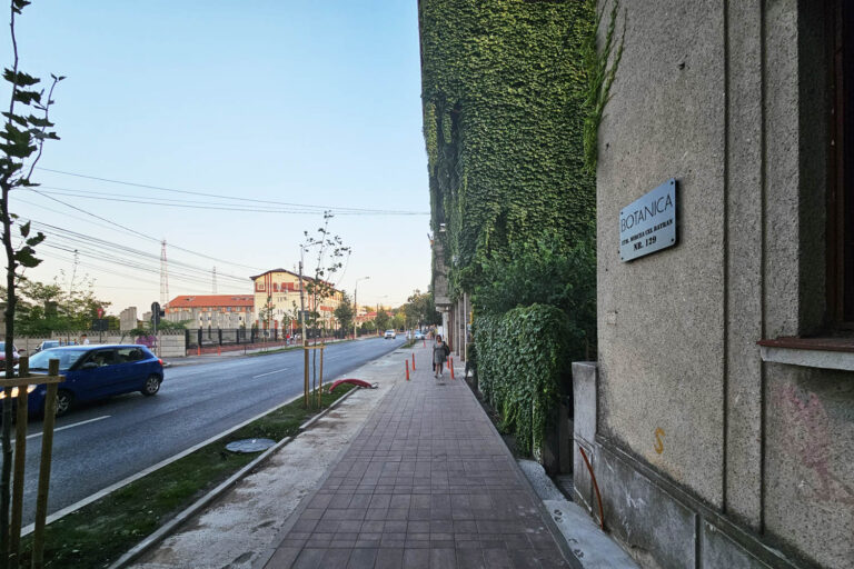 70 Cafe Constanta Botanica 02 768x512