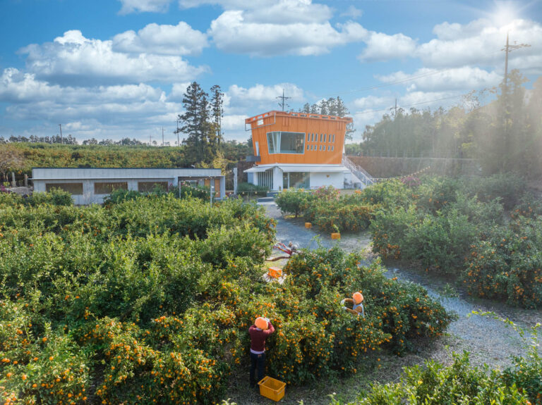 92 Jeju Island Orchid Cafe The Container 01 768x575