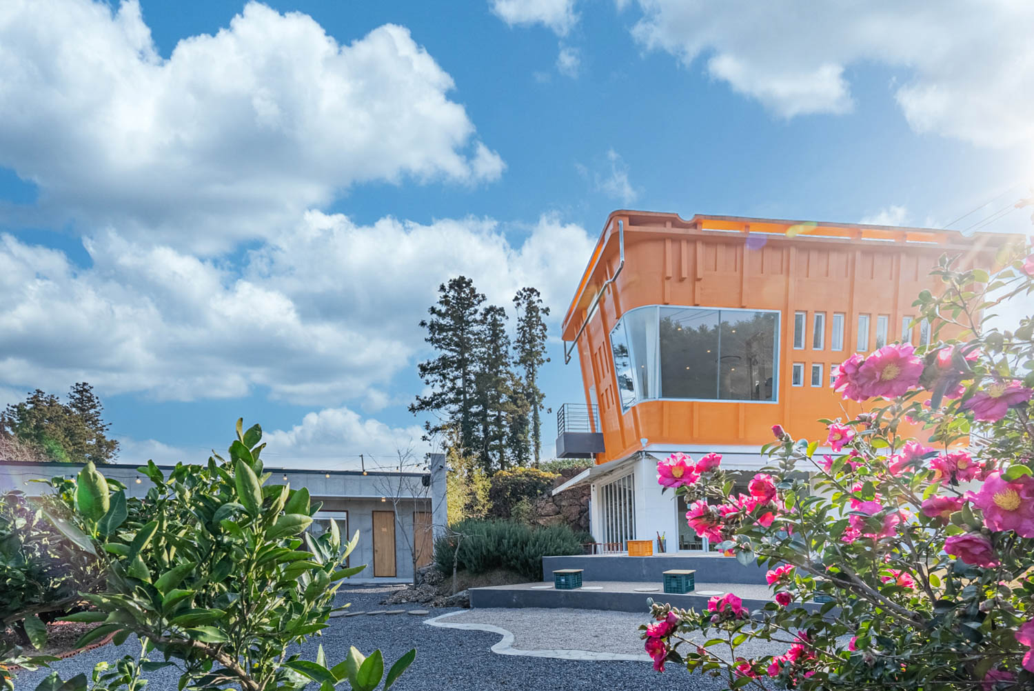 92 Jeju Island Orchid Cafe The Container 02