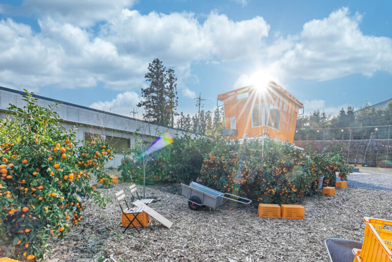 92 Jeju Island Orchid Cafe The Container 03 768x513