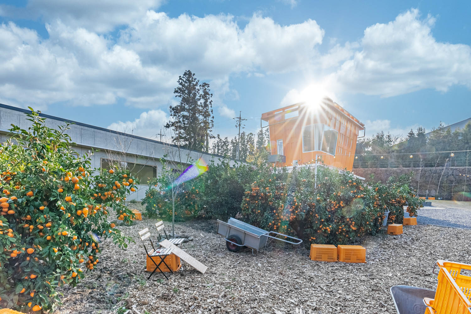 92 Jeju Island Orchid Cafe The Container 03